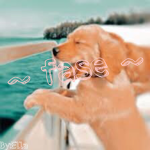 ~fase~