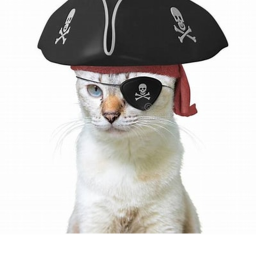 cat island