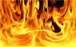 fire mafia