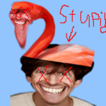 Flamingo=Worst youtuber