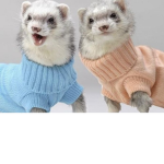 Ferret's Fashion