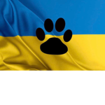 Bringing dogs to u!