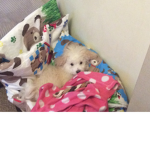 Jassy Ellie’s bff