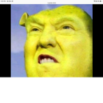 official dank society of memes and epic gamer yes!