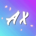 AX Development
