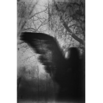 Distorted Angels