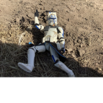Skylar skywalker