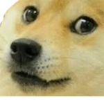 the cooperation of dogekind