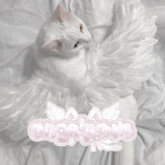 angelpaws emotes