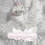 angelpaws emotes Group Thumbnail
