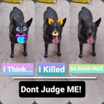 KoolKat and friends
