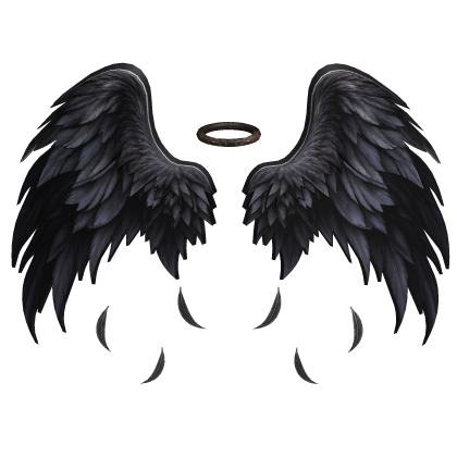 Emo Gothic Wings Dark Academia Black Angel