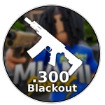 .300 BLACKOUT