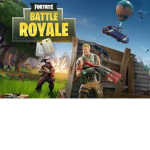 Fortnite Battle Royale group.