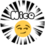 n o i c e