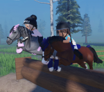 Horse lovers group Yas