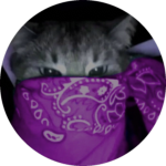 the solo cloth make