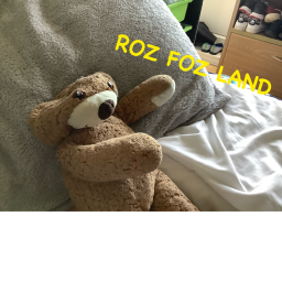 ROZ FOZ LAND