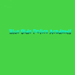 Blue Side Police Academy