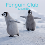 Cute Penguin Club Dh