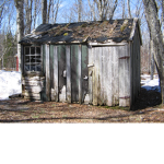 the nutshack
