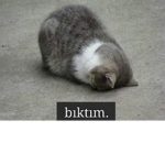 bo n cu k ve mi a