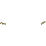 PBMS Jacket Brass