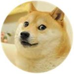 Doge yt official