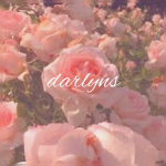 darlyns