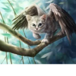 Winged Clan The Custom Clan