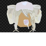 Fairypeople