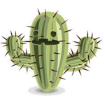 Cactus Corporations