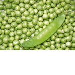pea omega