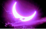 Moon Light group!!