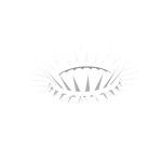 Silver Spiked Crown
