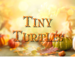 }~Tiny Turtles~{