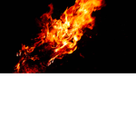 harry team fire