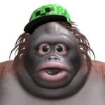 ALTEREGOG