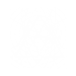 Parabellum - 05