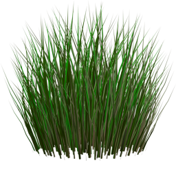 Touch GRASS!!