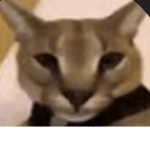 NotHackYT group