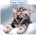 who lves cats join this group