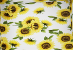 Laura’s Sunshine’s