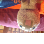 Sheepy and piggy