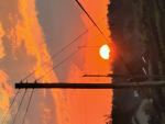 *+* Sunset Army *+*