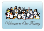 The amazing baby penguins