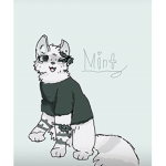 Mint.wcue filmcrew