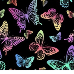 Rainbow_ Butterflys