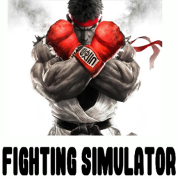 Fighting Simulator