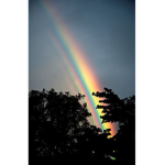 Rainbow clothes!!!!